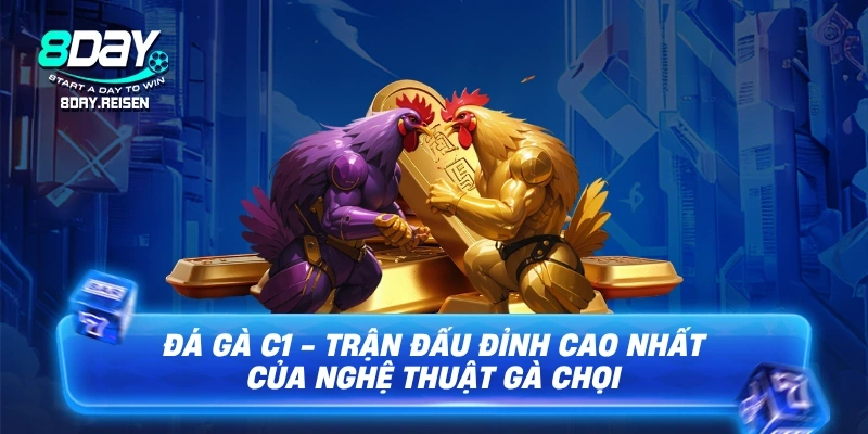 Đá gà C1 - Đẳng cấp của những trận cầu đỉnh cao 1 Đá gà C1 - Trận đấu đỉnh cao nhất của nghệ thuật gà chọi