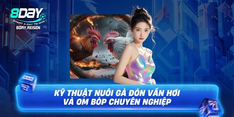 Đá Gà Cựa Tròn | Nghệ Thuật Chọi Gà Đỉnh Cao 3 Kỹ thuật nuôi gà đòn vần hơi và om bóp chuyên nghiệp